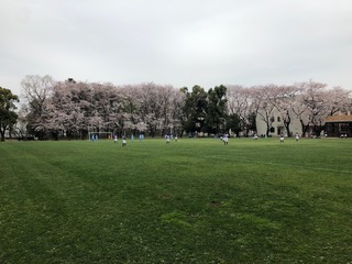 55495E07-A414-4B1D-801B-1660F7768876.jpeg